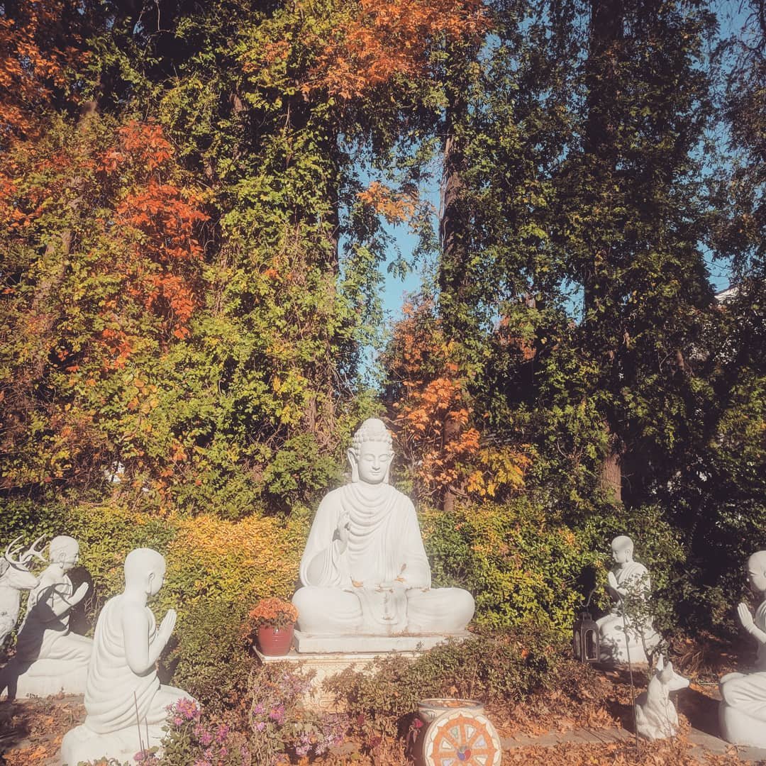 PaigeEtheridge1's tweet image. Thanksgiving at a Buddhist Temple. #Thankful for a new place to write and quietly contemplate. @ArlenTsao @George24377377 @ParnellChef 

#ThankfulThursday #Thankful #Buddhist #Buddhisttemple #Buddha #Thanksgiving #Vegetarian #sculpture #Autumn #fall #November #Thanksgiving2019