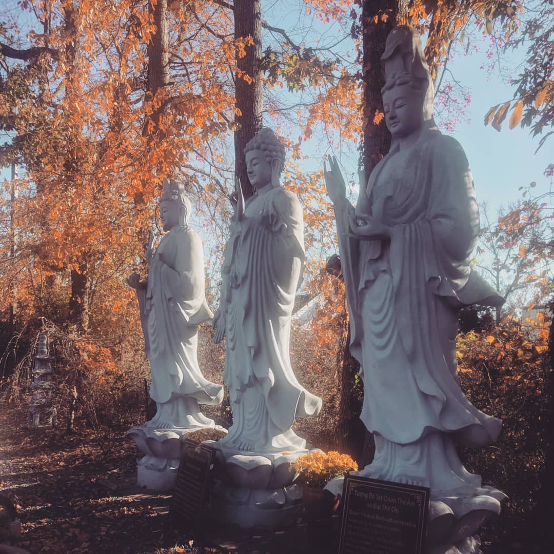 PaigeEtheridge1's tweet image. Thanksgiving at a Buddhist Temple. #Thankful for a new place to write and quietly contemplate. @ArlenTsao @George24377377 @ParnellChef 

#ThankfulThursday #Thankful #Buddhist #Buddhisttemple #Buddha #Thanksgiving #Vegetarian #sculpture #Autumn #fall #November #Thanksgiving2019