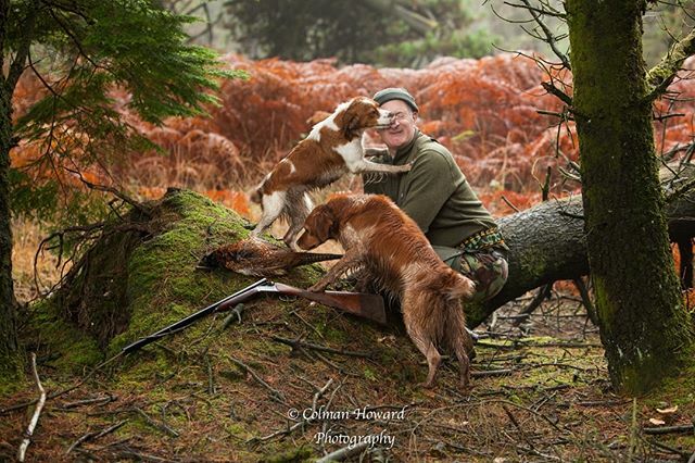 RathcormacGun's tweet photo. When your dog's refuse to co-operate for the photograph
.
.
.
.
.
.
.
.
#hunting #fieldsportsphotography #smallgamehunting #woodcock #woodcockhunting #hunting📷
#retriever #huntingireland #roughshooting #shooting @birddogoftheday #duckflighting #b… https://t.co/wFC1PiEjdk https://t.co/rQW4E1lLFx