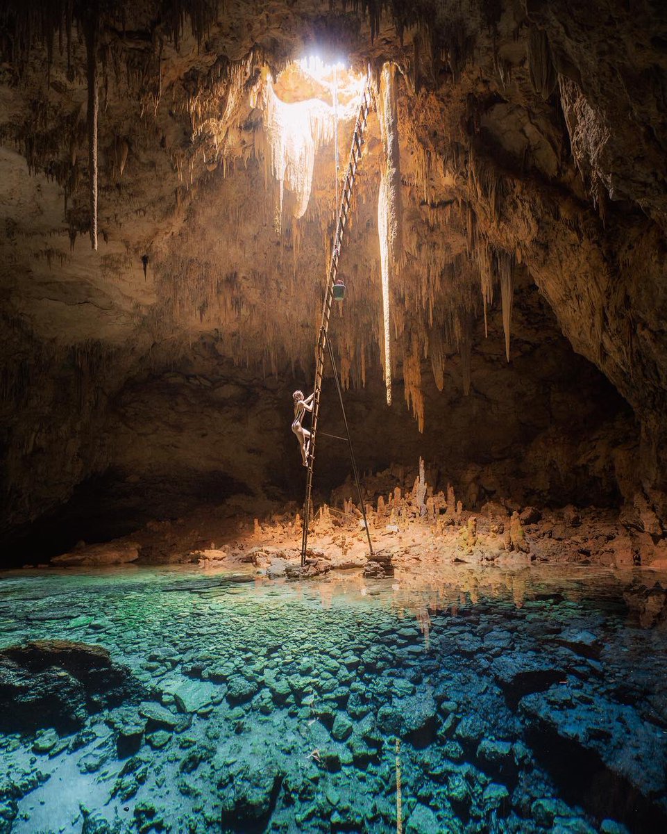 Magical cenotes in the Yucatán Peninsula.