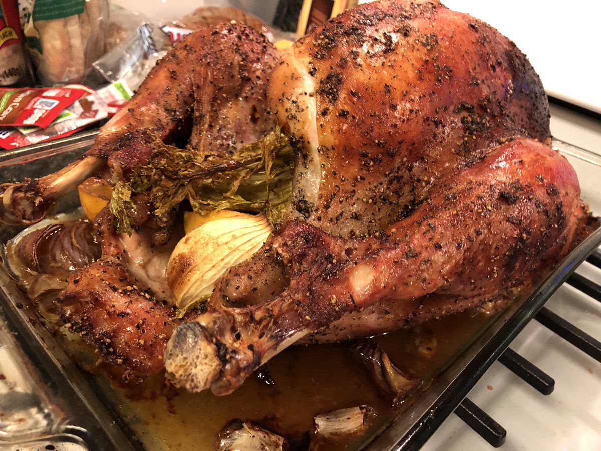 lovebasilsage's tweet photo. If you were wondering how this turkey came out. If you were wondering if Alison Roman recipes are legit. This is the first turkey I’ve ever made, and I’m usually purely a sides girl, but this came out so amazing. Time to sit around being full till dessert now. https://t.co/gp0EmgoLKF