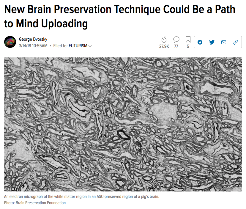 47) In 2018, the nonprofit Brain Preservation Foundation (BPF) announced that cryobiology research company 21st Century Medicine had won the Large Mammal Brain Preservation Prize. https://gizmodo.com/new-brain-preservation-technique-could-be-a-path-to-min-1823741147