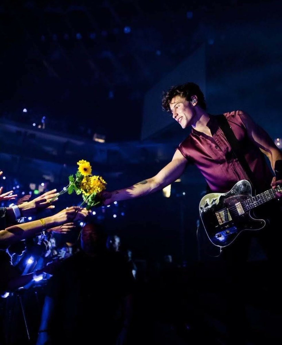 sunsetmllark's tweet photo. @PortalTracklist Acho essa foto maravilhosa ❤❤
#ShawnMendesTheTourBrazil #TrackSorteiaIngresso https://t.co/sBvcp0sFye