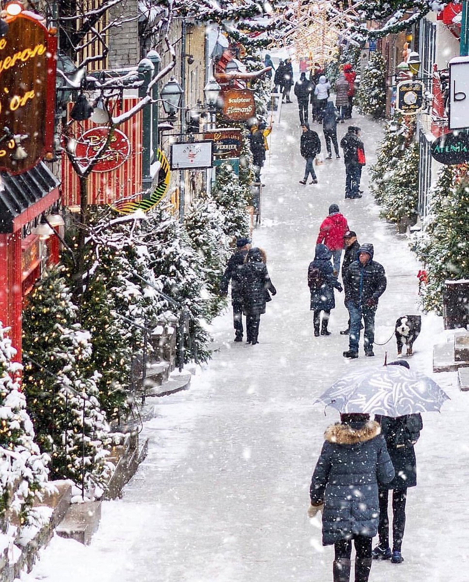 VIP Ontario Tours tweet media