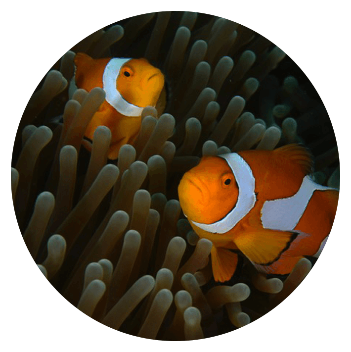 onebrownplanet's tweet photo. The oceans are rising and so must we ##LOVE30X30
https://t.co/lwgmtM3o0t https://t.co/9EeJwXoKil