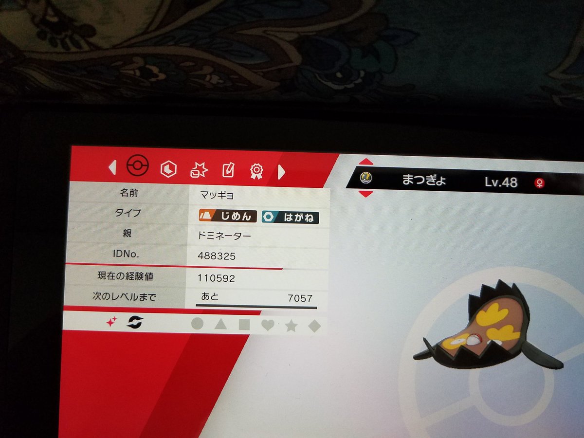 きょう 色違いマッギョいます サニーゴと交換願えますか