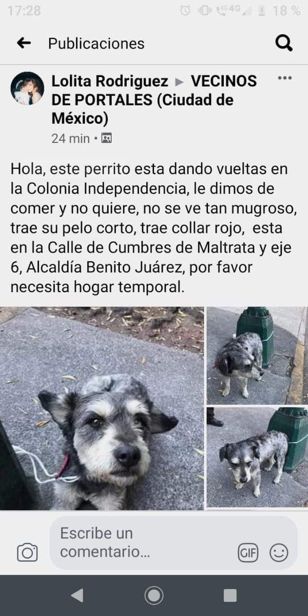 cristina rocha tweet media