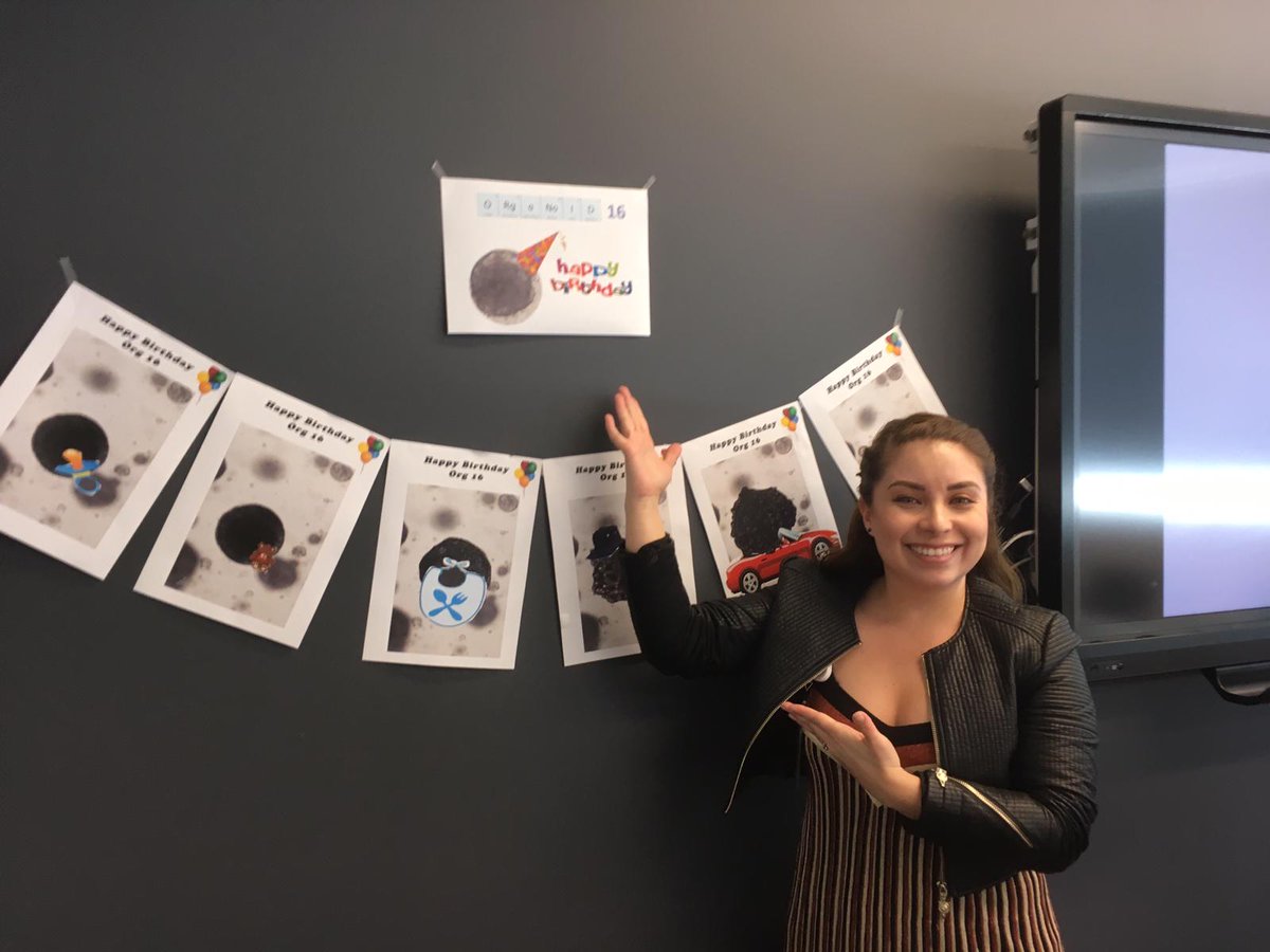 GorringeLab's tweet photo. When our brilliant PhD student celebrates birthday of the first mucinous ovarian cancer organoid grown in the lab :) Well done Carolina Salazar! https://t.co/CjGBBUlVsF