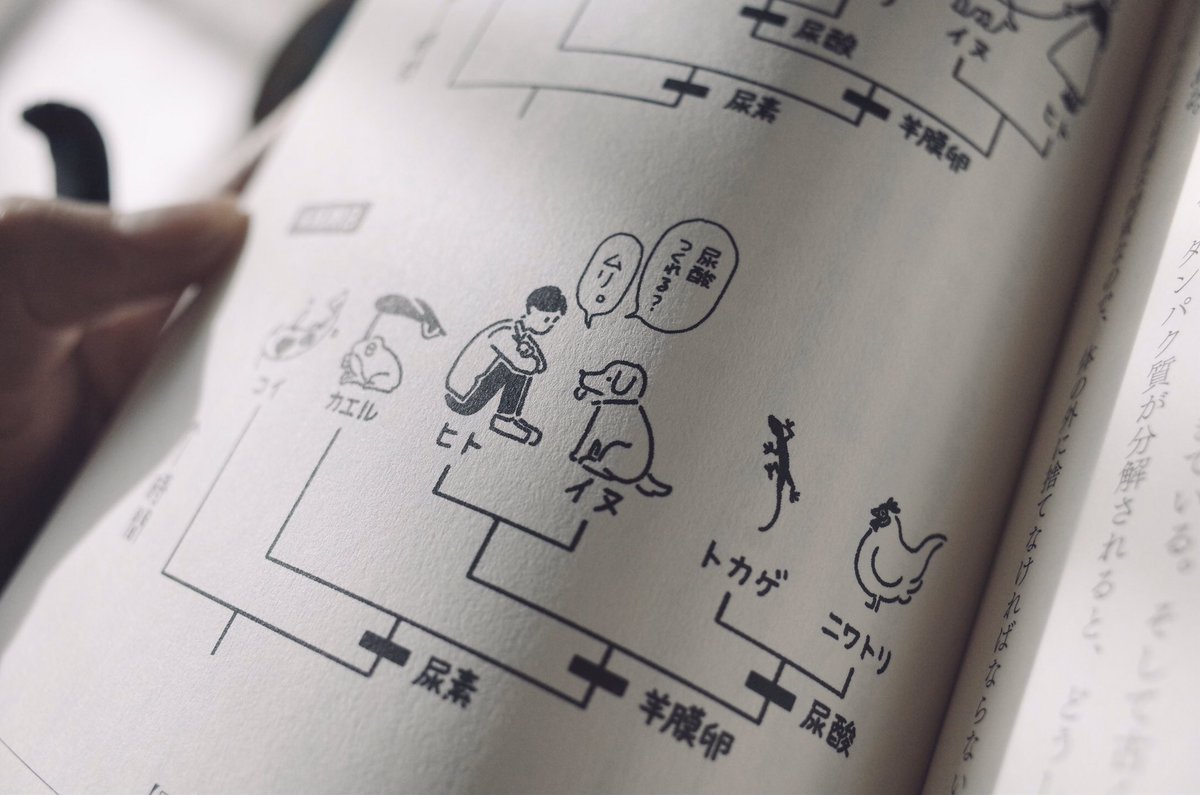 少し難しい話もありますが更科先生の一緒に隣で教えてくれるような文体のおかげで知らなかった生物学の世界に夢中になって読んでしまいました。本文には90点以上のイラストカットがありますのでそちらも楽しんでもらえたら嬉しいです?