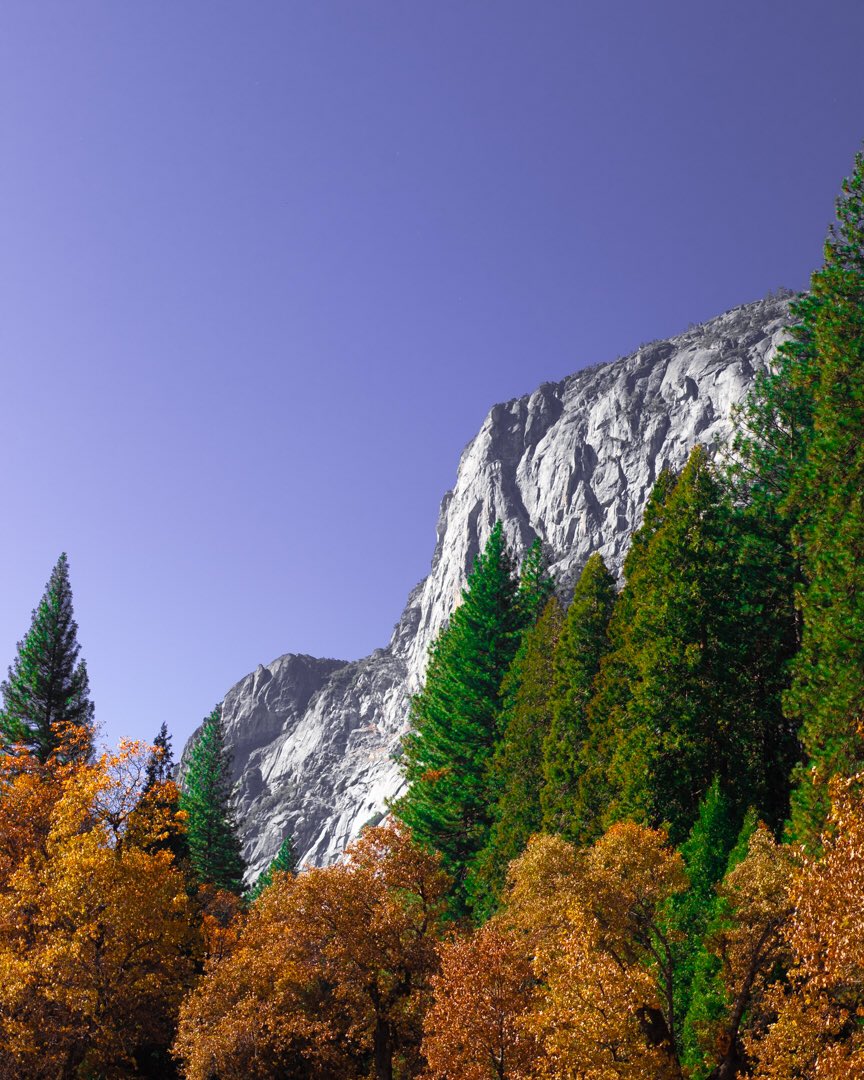 _Ekid's tweet image. Here’s a couple pictures I took out in Yosemite. Posted on ig but I’m so proud of them and wanted them here lol Enjoy!