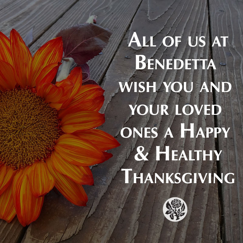 Happy Thanksgiving! 💛🍃🌻