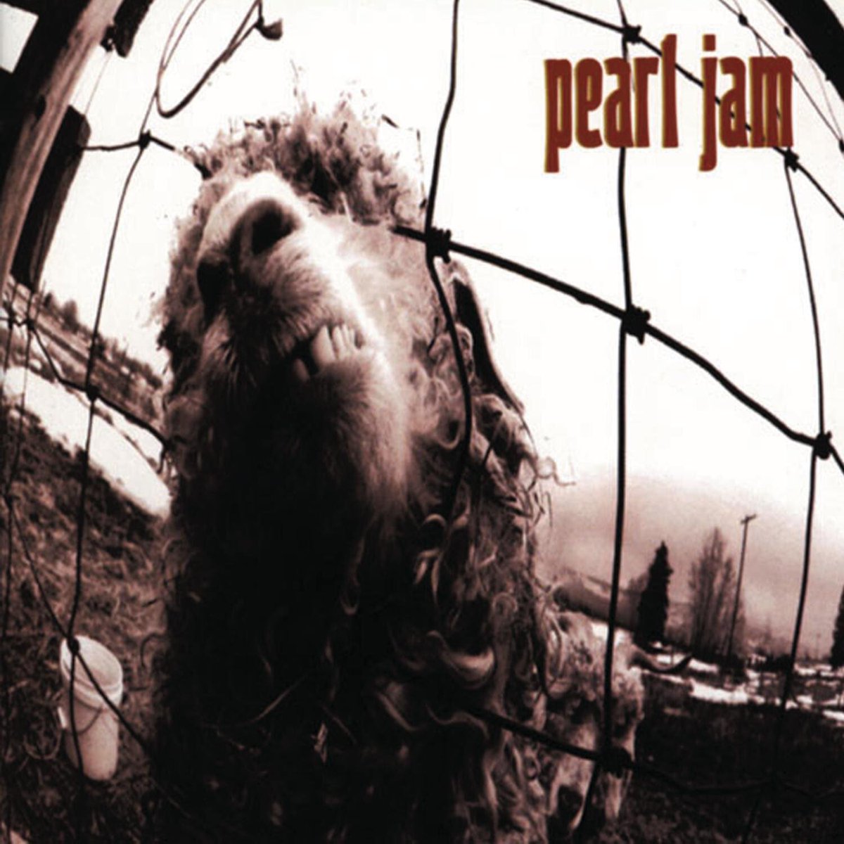 Early lead for Pearl Jam: Ten (91), Vs. (93), Vitalogy (94)