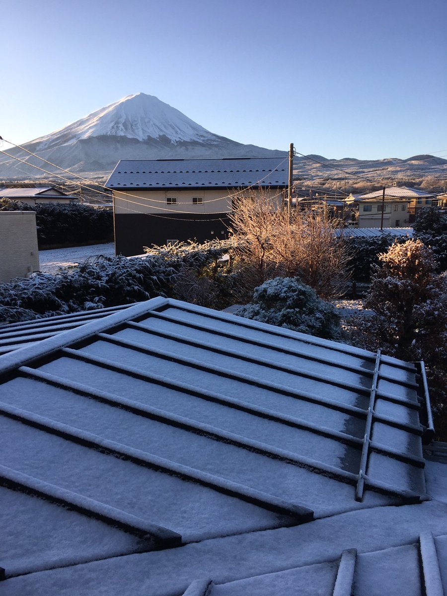 tsk_ynu's tweet image. どうやら実家では雪化粧したようです