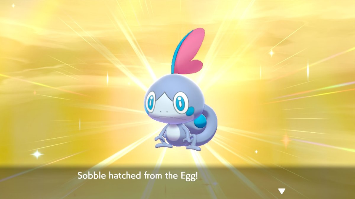 Marsh4rd's tweet photo. @SUKnives 3rd Sobble i hatched was shiny...wild https://t.co/FiTIHinJA1