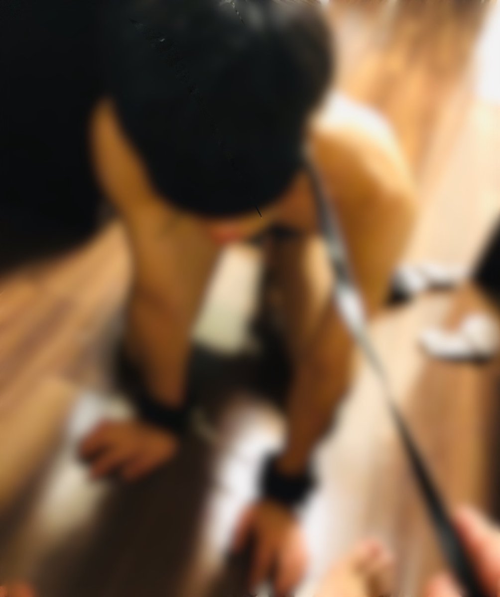 yutokyo3's tweet photo. 尺犬ペット。 https://t.co/pCbFlwuUOS