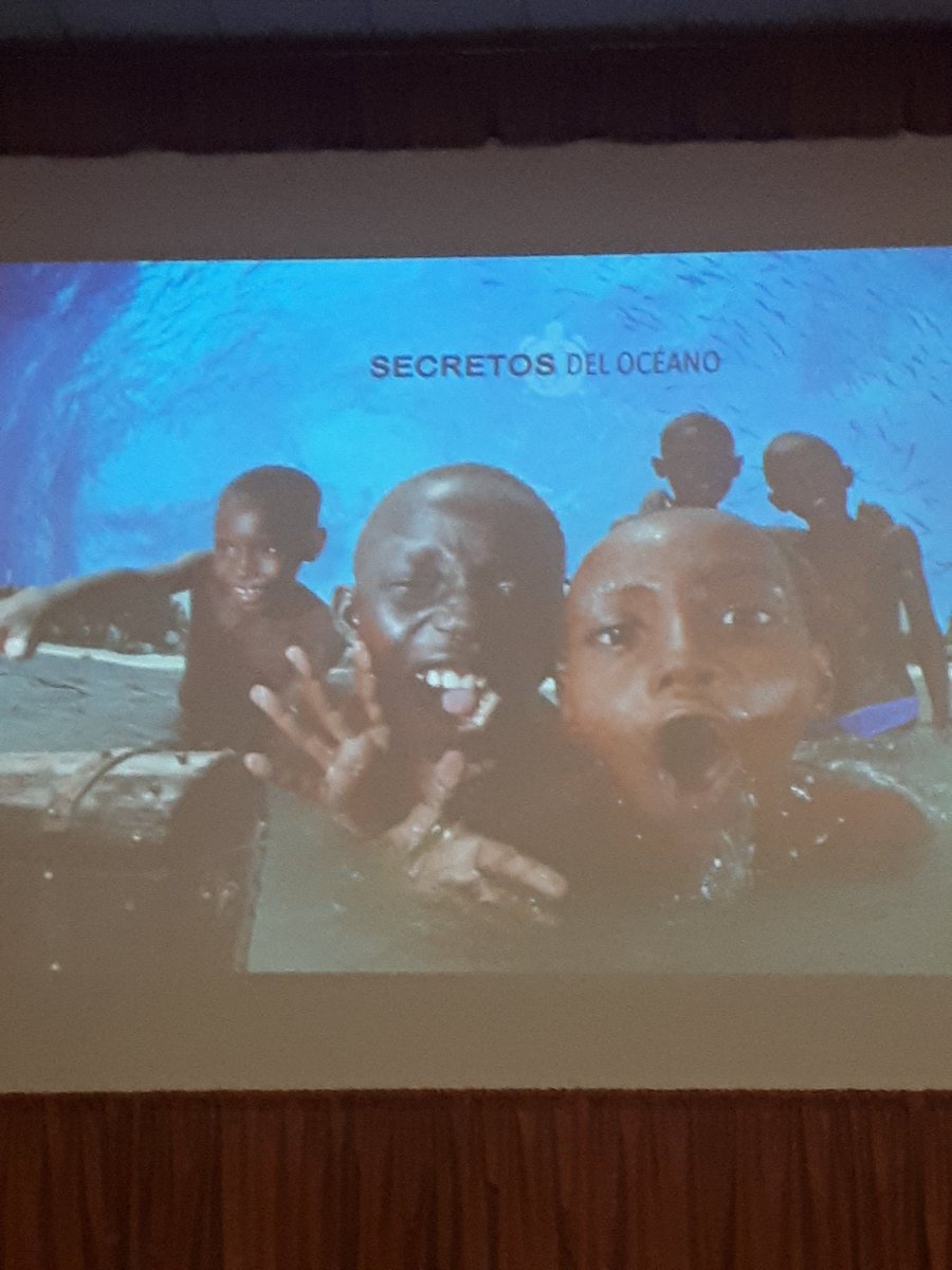 Vivo en Playa del Carmen tweet media