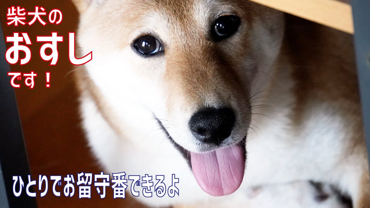 おすしとおでん Osushiandoden Twitter