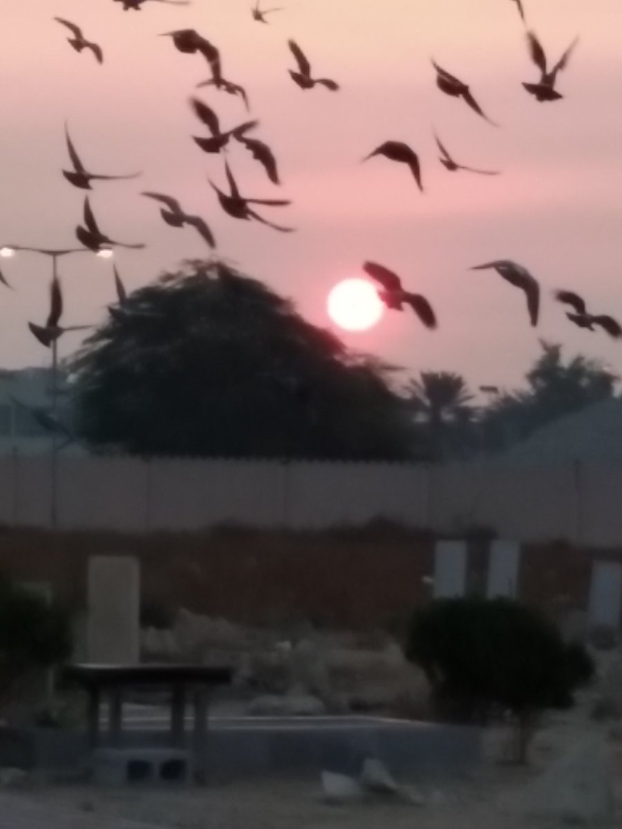 ما أحلى الشروق