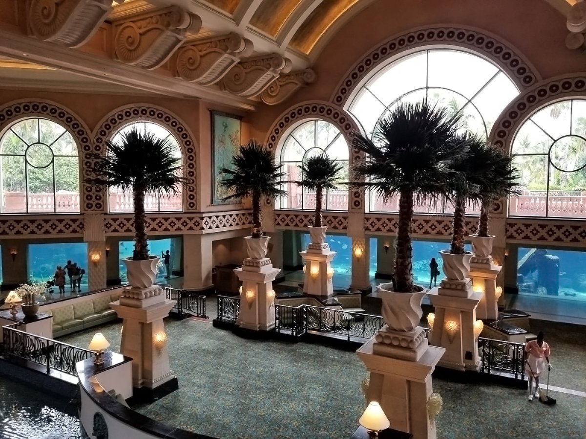 cariscape's tweet photo. Let's go to the Bahamas! https://t.co/vOovMIXb9c