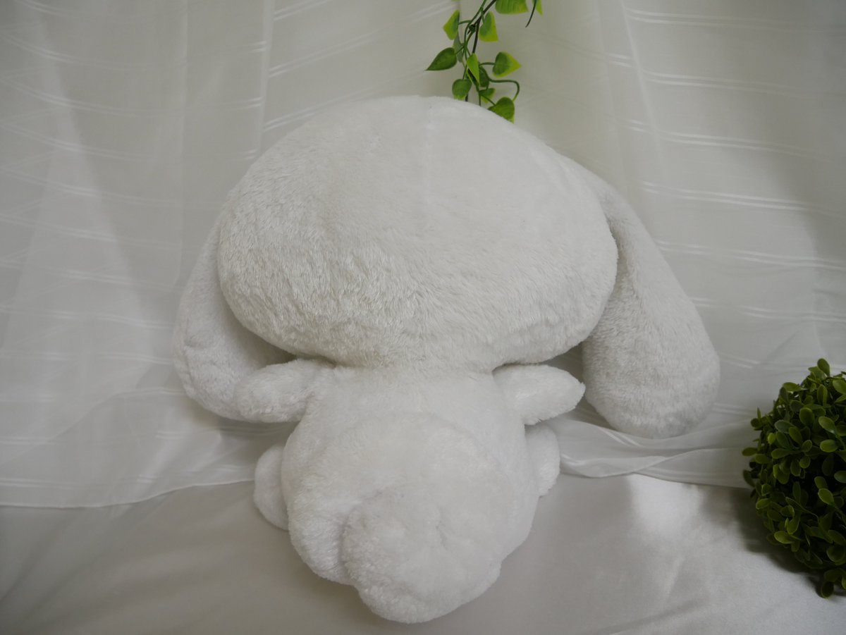 杜の都なつみクリニック ぬいぐるみ専門病院 シナモンちゃんがお風呂エステでたまったお疲れを癒しリフレッシュいたしました 中綿も交換させていただき元気いっぱいで可愛らしいです これからもどうぞ健康にお過ごしくださいませ 杜の都なつみ 杜の都なつみクリニック ぬいぐるみ専門病院 シナモンちゃんがお風呂エステでたまったお疲れを癒しリフレッシュいたしました 中綿も交換させていただき元気いっぱいで可愛らしいです これからもどうぞ健康にお過ごしくださいませ 杜の都なつみ