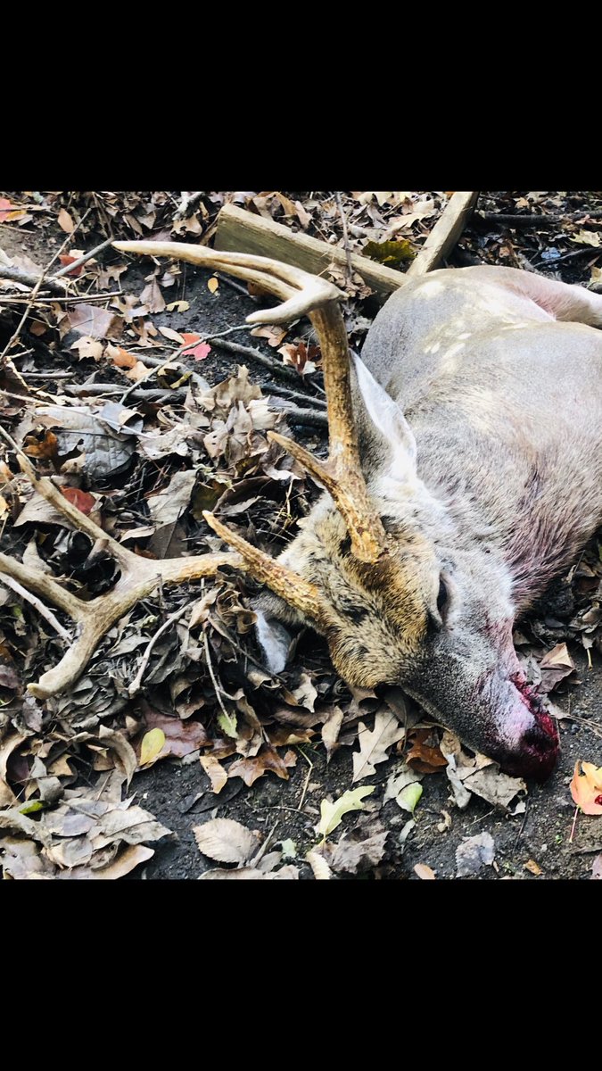 What an Amazing Thanksgiving, started off by harvesting this big boy then home to a wonderful dinner.