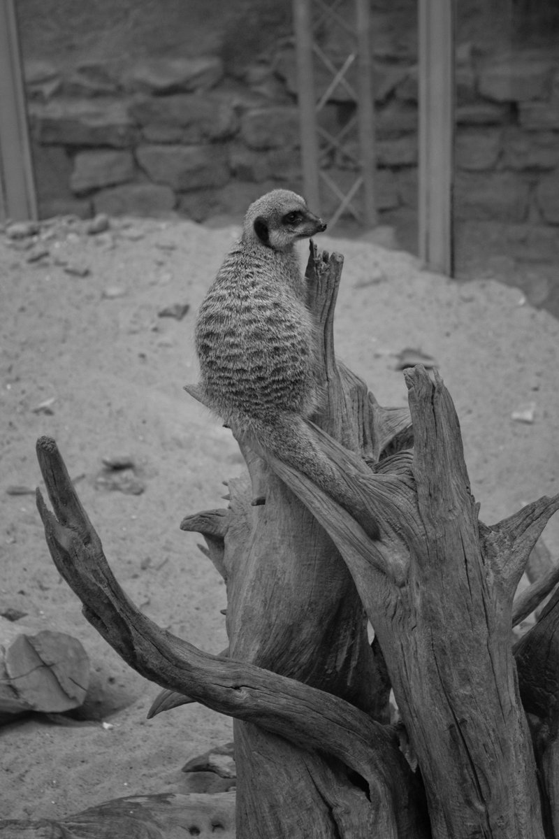 Calum Carson Photography (@c_carson_photos) on Twitter photo A recent trip to <a href="/TropWorldLeeds/">Tropical World Leeds</a>: so great to have this on the doorstep! #TropicalWorld #Roundhay #Leeds #IgersLeeds #LeedsLife #BBCYorkshire A recent trip to <a href="/TropWorldLeeds/">Tropical World Leeds</a>: so great to have this on the doorstep! #TropicalWorld #Roundhay #Leeds #IgersLeeds #LeedsLife #BBCYorkshire