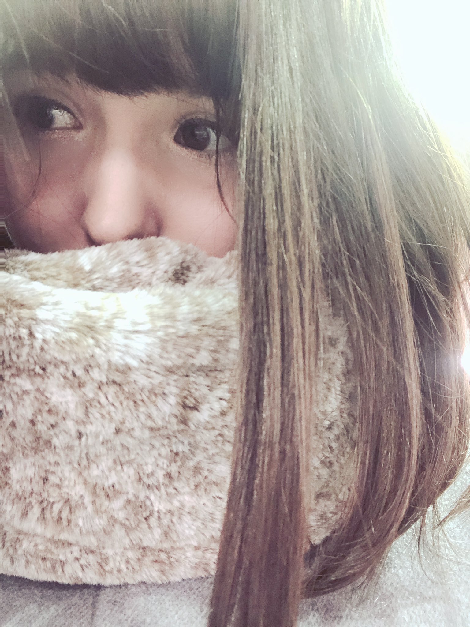 ブリドカットセーラ恵美 季節が変わるとよく 髪染めた と聞かれるんですが 地毛だから染めたことない という ちょっとだけインナーカラーというものをやったことはあるけど 基本的にカットとトリーメント以外なんもしてない 笑 夏は紫外線で明るく