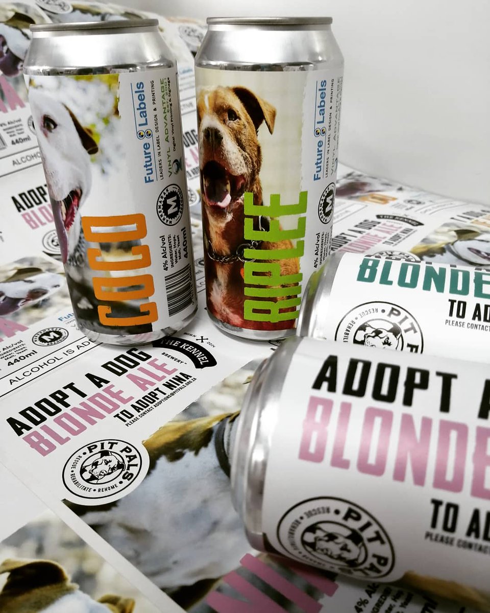 KennelBrewery's tweet photo. ADOPT A DOG BLONDE ALE

This one is very special to us.. 

Collab series between Kennel Brewery &amp; @pitpals.  

Feuturing 6 dogs from Pitpals looking for a good home. 

Shinning some awareness on shelter dogs one sip at a time.. https://t.co/cx3SlJk27o