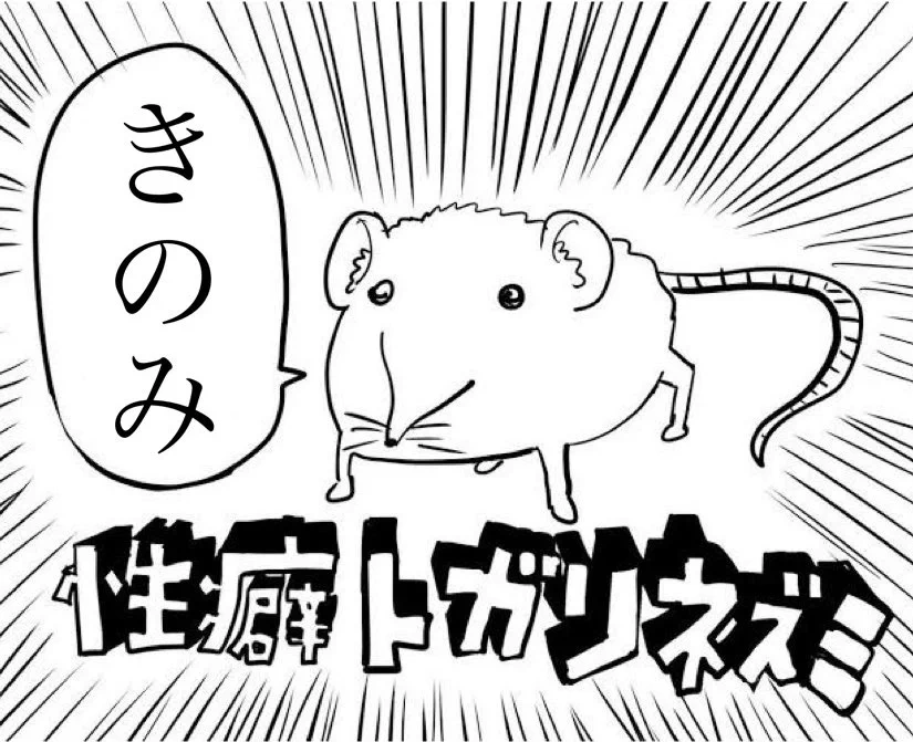 @atat_oshiriko 限りなく例のネズミに近いリス 