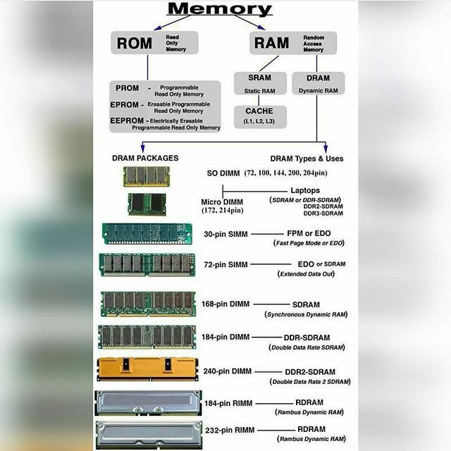 studytonight's tweet image. Type of memory
.
.
.
#studytonight #programmers #programming #softwaredeveloper #softwareengineer #webdevelopers #webdeveloper #webdevelopment #webdev #programmer #development #developer #facebook #linux #hack #hacking #code #technology #coding #codingli… ift.tt/2rynjbI