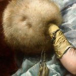 ふわふわもこもこしていて今にも触れそう・・・これが絵画だって信じられますか？