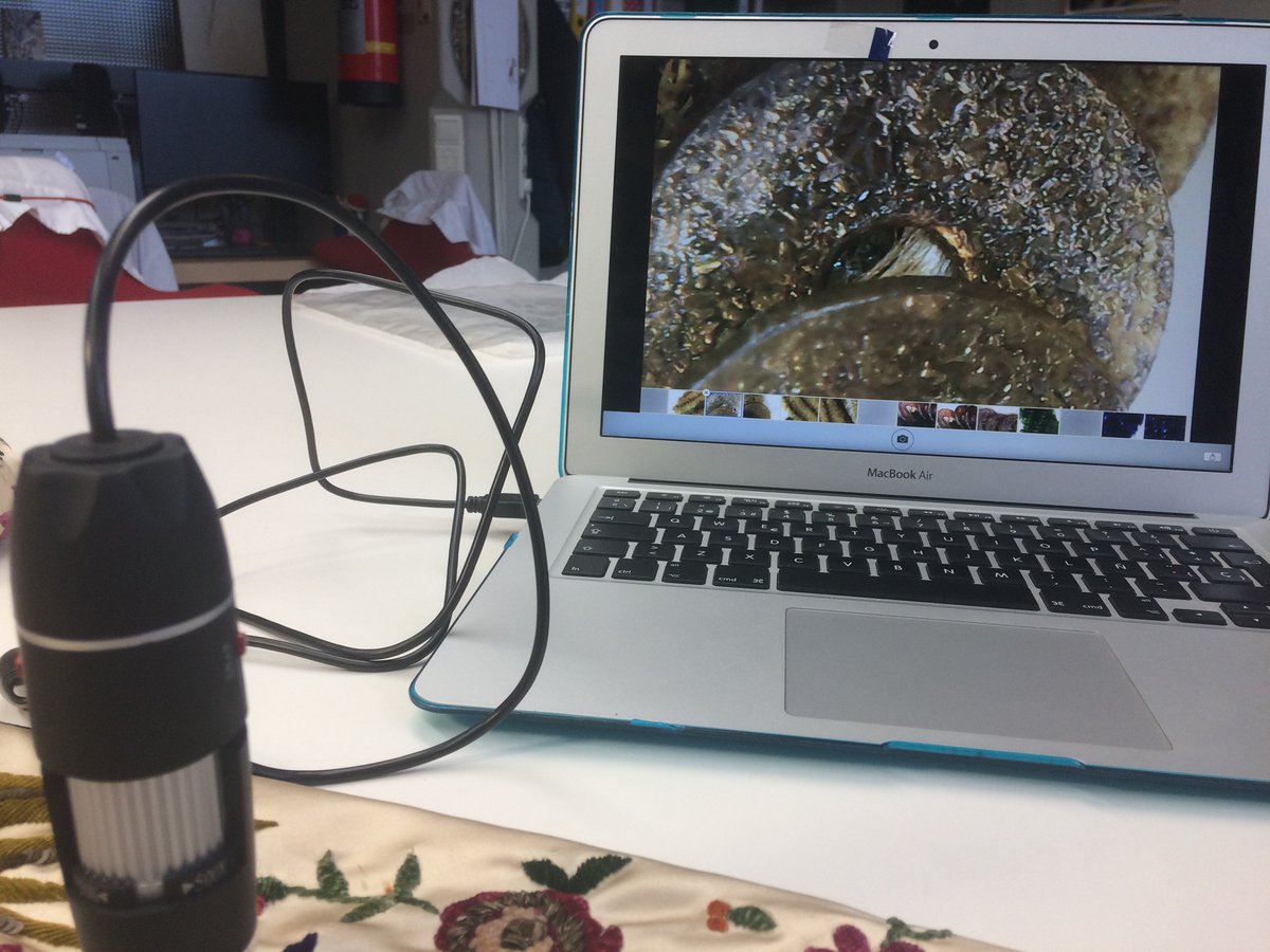 txetxarito's tweet photo. Preparing new research projects for 2020.
I love what the digital microscopy could offer to us!trying to reach up the eye of the designer
#scienceconservation
#fashionconservation https://t.co/t0sX93otIO