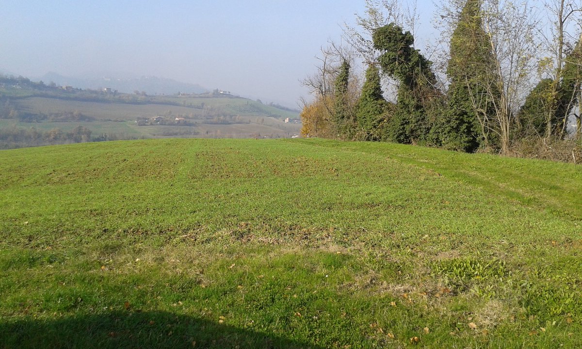 Gianmarcomacpez's tweet photo. #perchetu riesci sempre a darmi un motivo per allacciarmi le scarpe ed uscire a correre #iocorroqui in valsamoggia,10km..tra i colori autunnali #29novembre https://t.co/37kQ1Ol8er