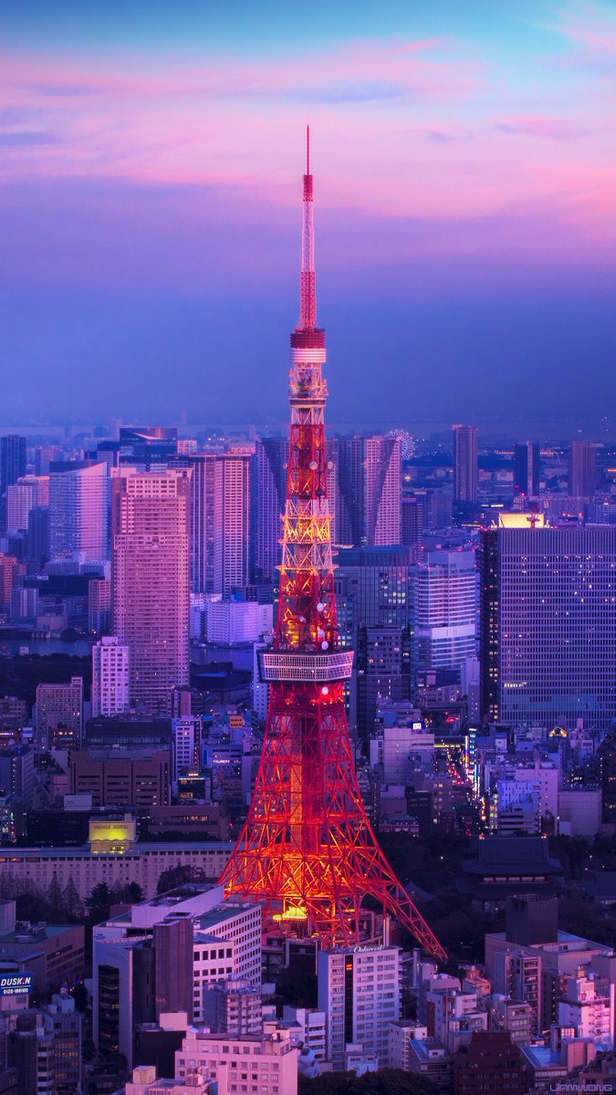 Tokyo Tower Anime / Tokyo Skytree Haikyu Wiki Fandom
