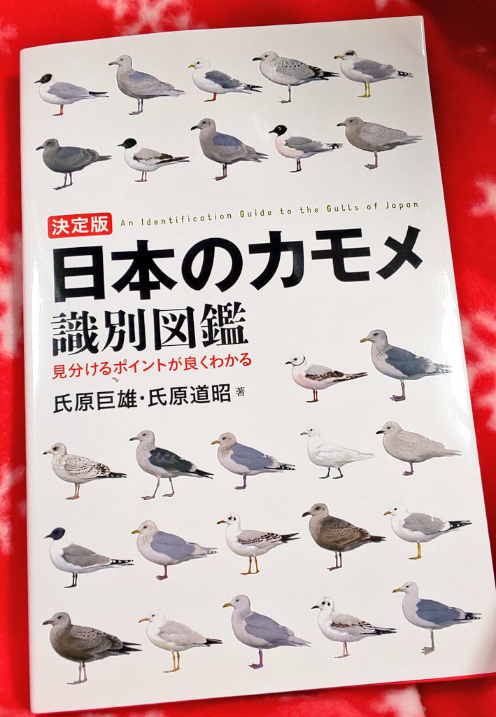 あーこれ良い!カモメ類の成鳥までの全身換羽過程も細かくのってるし、識別用に便利だし読んでて楽しいこの本! 