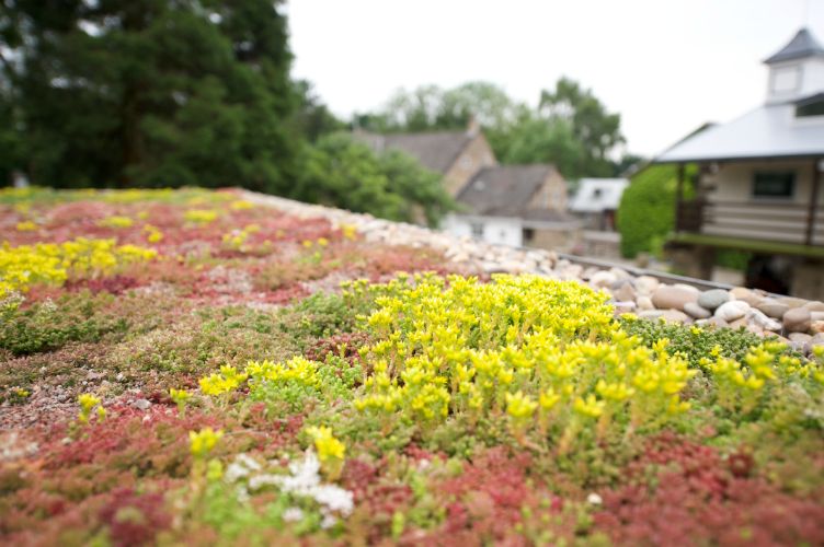 Lee_TheDesigner's tweet photo. With all the benefits of green roofs, especially reducing rainwater run off, why do we not see more of them?!

With advanced roof coverings the days of leaking, felt roofs are long gone and functional, attractive green roofs could be the future! https://t.co/hLMKWBdLJI https://t.co/kVlbdoEpJw