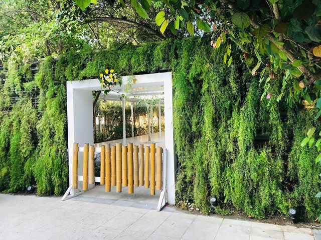 babooz2u's tweet photo. #albarari #greenlife #dubailife #holiday #outingwithfriends #instadaily #picoftheday https://t.co/5FOlshTC4n https://t.co/AAO4dDYT3T