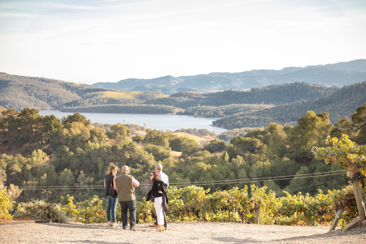 AmizettaEstate's tweet photo. Not all those who wander are lost. 

#amizetta #amizettavineyards #amizettaestate #connvalley #lakehennessey #howellmountain #sthelena #napa #napavalley #california #wine #cabernet #cabernetsauvignon #cabcountry #winewithaview #vineyard #winetasting #winelover https://t.co/JlukBVbobj
