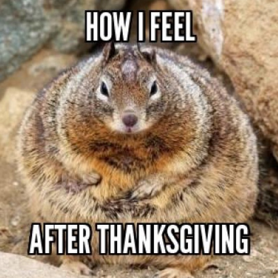 LightningInVA's tweet image. It's time to hit #CompEdge and work off all those #Thanksgiving carbs!