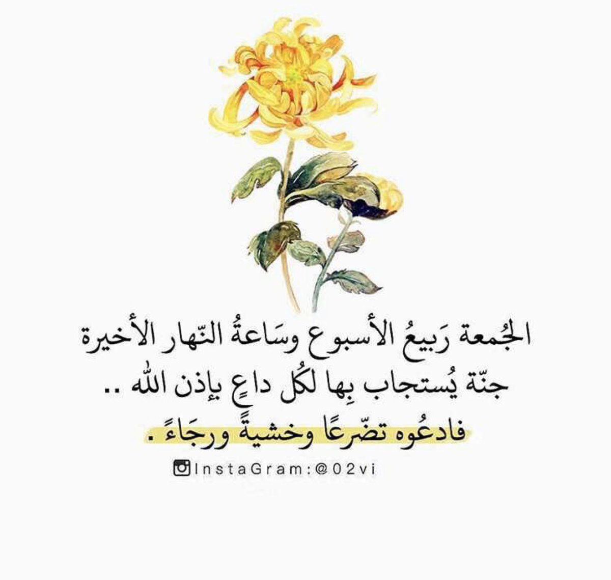 T__II__T tweet picture