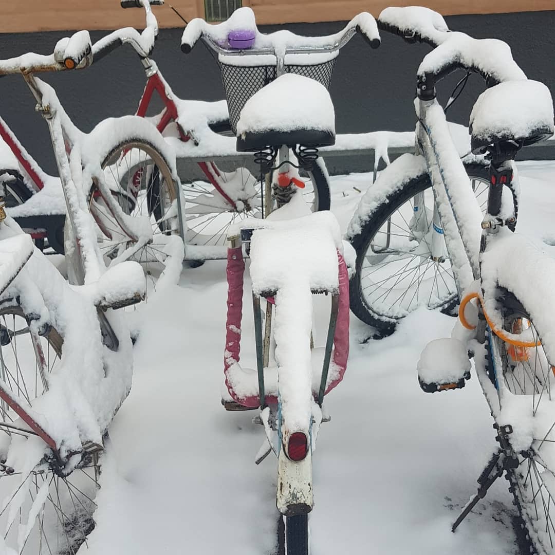 MelanieDuring's tweet photo. It is pretty though, and the biggest challenge was to get my bike unlocked.
#frozenlock #snow #winterwonderland #SwedishWinter https://t.co/Fr87SDJl8K