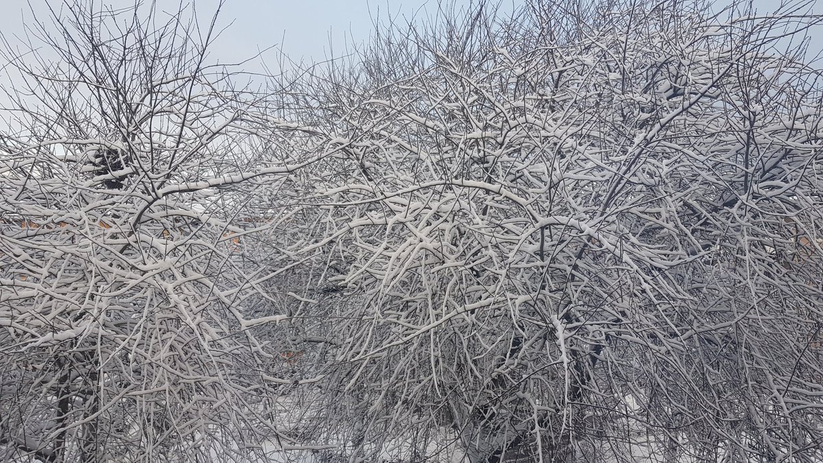 MelanieDuring's tweet photo. It is pretty though, and the biggest challenge was to get my bike unlocked.
#frozenlock #snow #winterwonderland #SwedishWinter https://t.co/Fr87SDJl8K