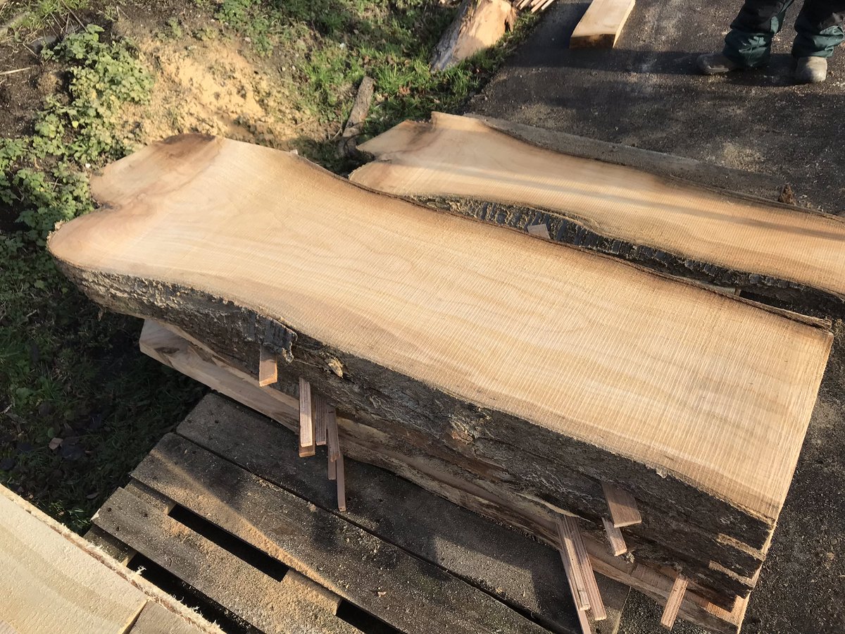 Inmiddels zijn er al wat mooie planken gezaagd. Morgen per stuk te koop op boomstammenveiling! <a href="/circulair010/">circulair010 ( harsh_arora )</a>