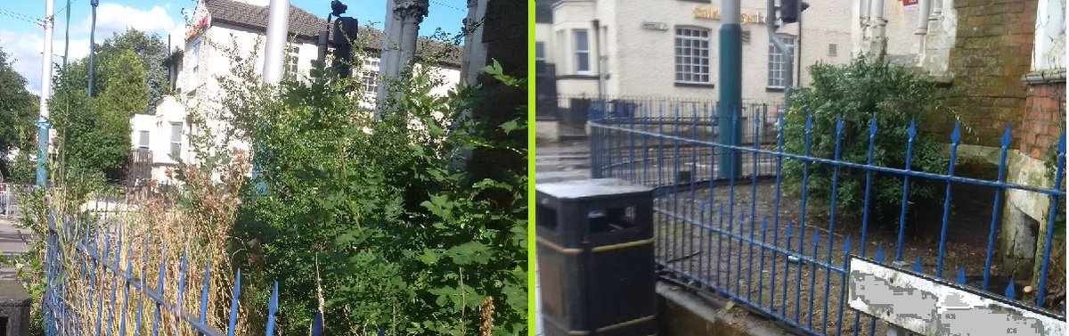 #Notice issued to the owners of this property
in #HysonGreen and #Arboretum, due to the  frontage being
overgrown and unkempt, has now been cleared #YouSaidWeDid #NG7