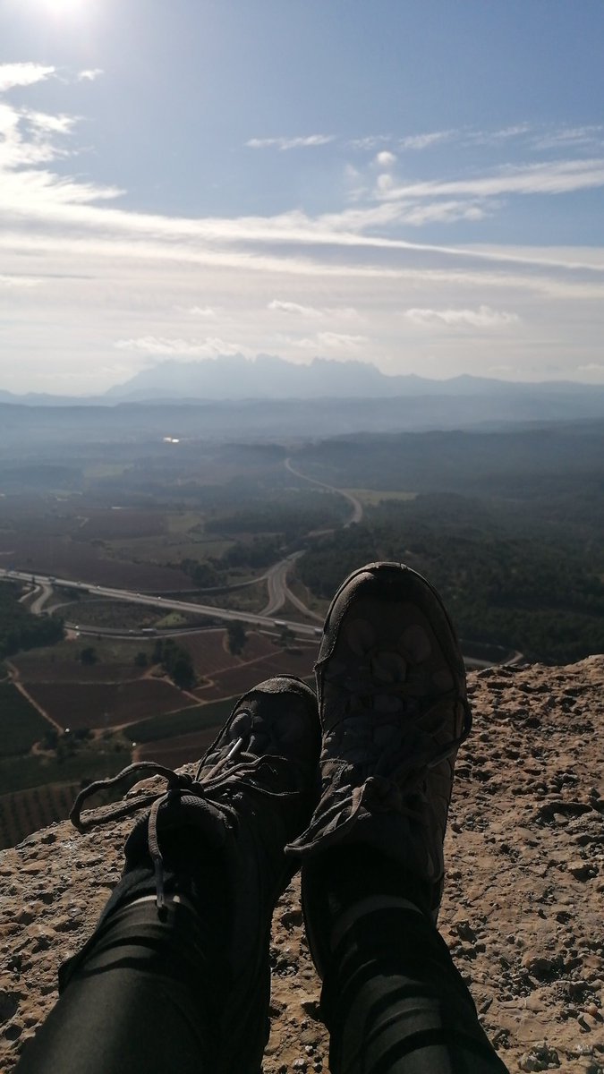 eliepiteli's tweet image. Què bé s'està al solet vol 2.0 #llangardaix al #collbaix