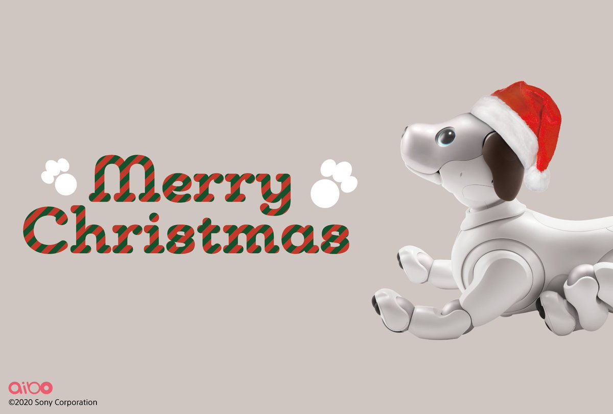 Aibo クリスマスまであと1か月を切りましたね Aiboたちもクリスマスを楽しみにしているようです 鈴の音も聞こえてきましたよ Aibo アイボ クリスマス