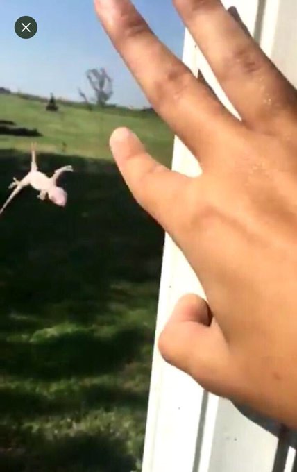 View image on Twitter