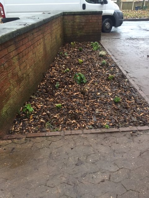 SandraShiner1's tweet photo. Great day at Erdingden House Tamworth - litter pick, planting and general garden tidy up - plants and bulbs should look great in the spring #teameffort #lovellmids @Lovell_UK @TamworthCouncil https://t.co/thdt30ItJN