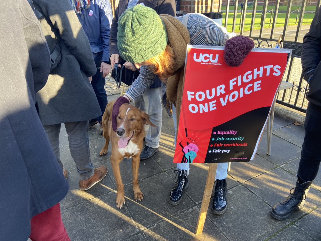 Scooby joins in the fight for #equality #jobsecurity #fairworkload #fairpay #dogsonstrike #UCUstrike #qubstrike 🐾up!