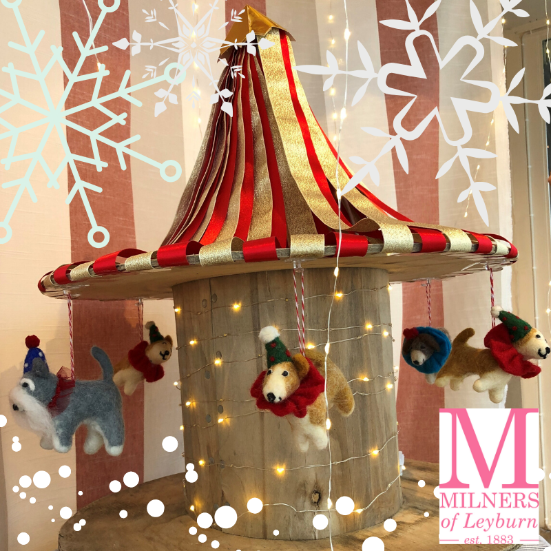 Happy New Year's Day! #happynewyear2020